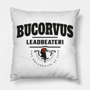 Bucorvus leadbeateri (Southern Ground Hornbill) Pillow