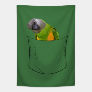 Peeking Pocket Pet - Senegal Parrot Tapestry