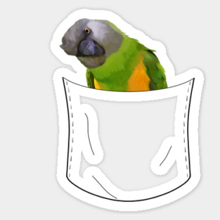 Peeking Pocket Pet - Senegal Parrot Sticker