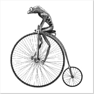 Cool Funny Animal Frog Sport Cycling Posters and Art
