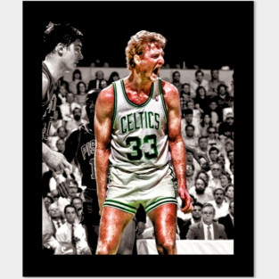 Larry Bird Posters and Art