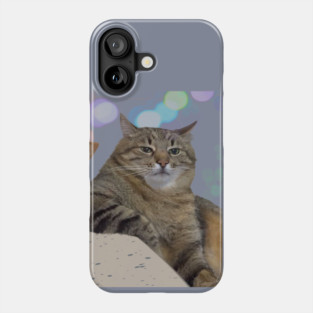 Stepan The Cat meme Phone Case
