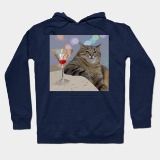 Stepan The Cat meme Hoodie