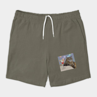 Stepan The Cat meme Shorts