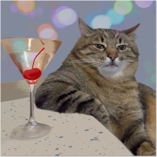 Stepan The Cat meme Posters and Art