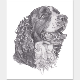Classic English Springer Spaniel Dog Profile Drawing Posters and Art