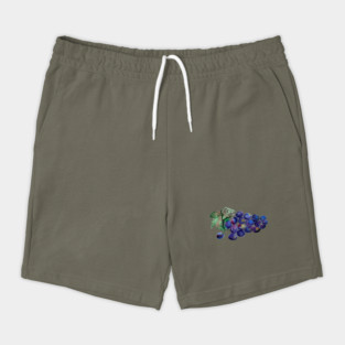 Grape #2 Shorts