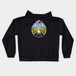 Sphynx Cat Alien Abduction Kids Hoodie
