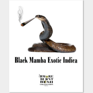 Black Mamba Exotic Indica Posters and Art