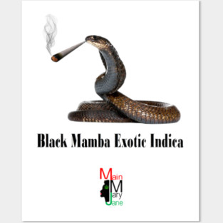 Black Mamba Premium Indica Posters and Art