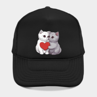 British Shorthair Kittens Hat