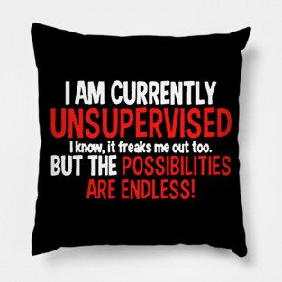 I Am Currently Unsupervised Pillow
