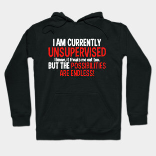 I Am Currently Unsupervised Hoodie