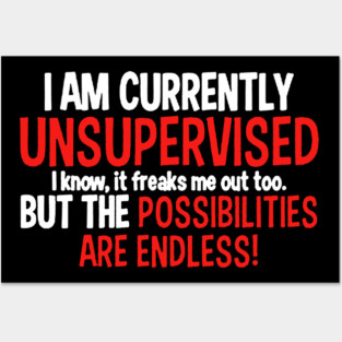 I Am Currently Unsupervised Posters and Art