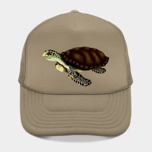 Sea Turtle Hat