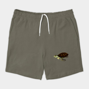 Sea Turtle Shorts