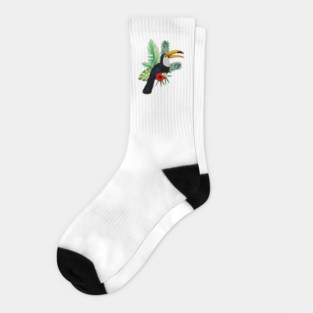 Toucan Bird Tropical Socks