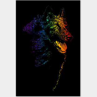 Rainbow Groenendael Posters and Art