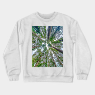Look Up, Look Way Up Crewneck Sweatshirt
