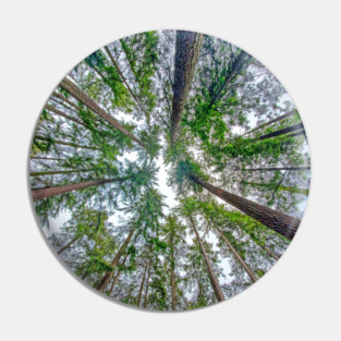 Look Up, Look Way Up Pin