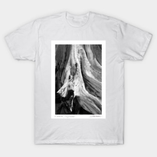 Kanaha Driftwood T-Shirt
