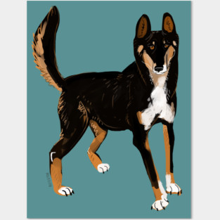 Black Alpine Dingo Posters and Art