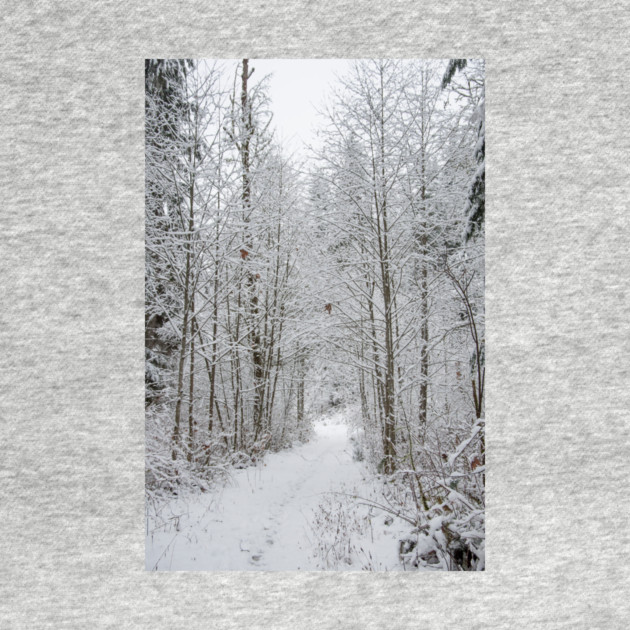 Snow Covered Trees Line The Path by KirtTisdale