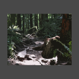 Forest Trail T-Shirt