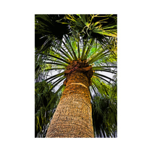 The Big Palm T-Shirt