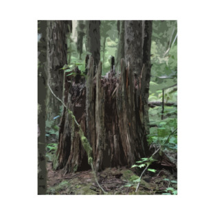 Stump In The Forest T-Shirt