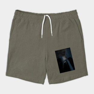 portal Shorts