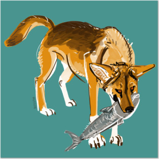 Fraser Island Dingo Posters and Art