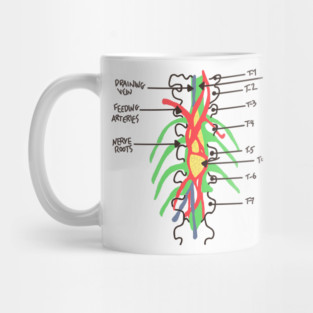 Greys Anatomy/Medicine/Spinal Cord/ Nerves/ Derek shepherd/ Grey Sloan/ Med School Mug