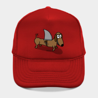 Wiener Dog with a Shark Fin Hat