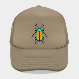 Beetle Hat