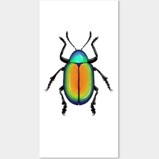 Beetle Posters and Art