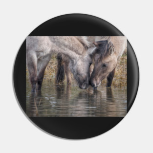 You probably know that you should drink between 8 and 10 glasses of water each day Pin