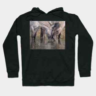 You probably know that you should drink between 8 and 10 glasses of water each day Hoodie