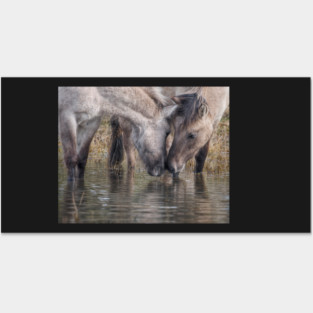 You probably know that you should drink between 8 and 10 glasses of water each day Posters and Art