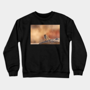 Little Sparrow Crewneck Sweatshirt