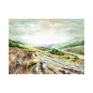 'Tranquil Ashdown Forest in Autumn' by Sonia Finch T-Shirt