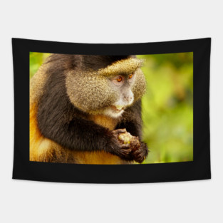 Golden Monkey at Ruwanda Tapestry