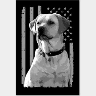 Labrador Legacy American Flag That Celebrate Labrador Retrievers' Charm Posters and Art