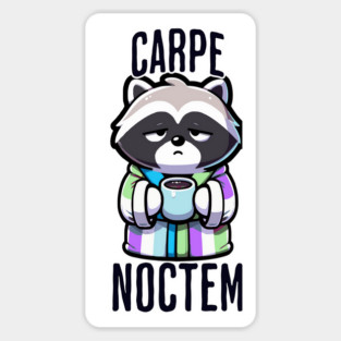 Funny Carpe Noctem (seize the night) sleepy raccoon design Magnet