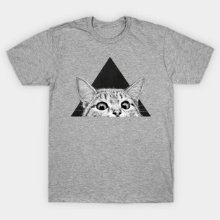 Are you asleep yet? T-Shirt