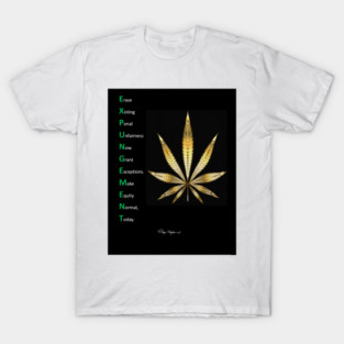 Expungement T-Shirt