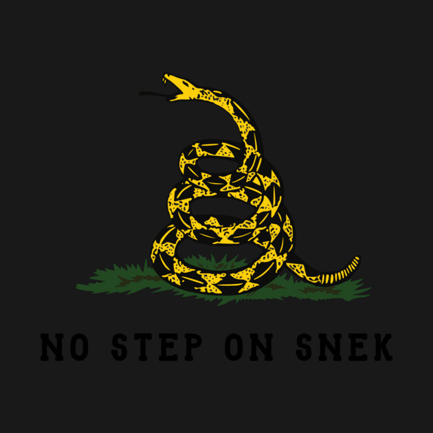 No Step On Snek T-Shirt by dumbshirts
