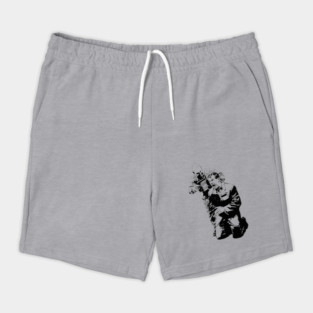 Bang 316 black Shorts