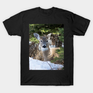 White tailed deer T-Shirt