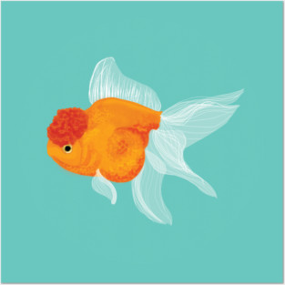 Goldfish Posters and Art